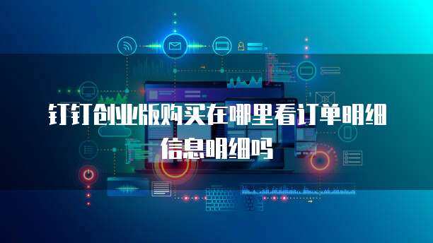 如何在创业版平台查看个人互联网服务订单明细